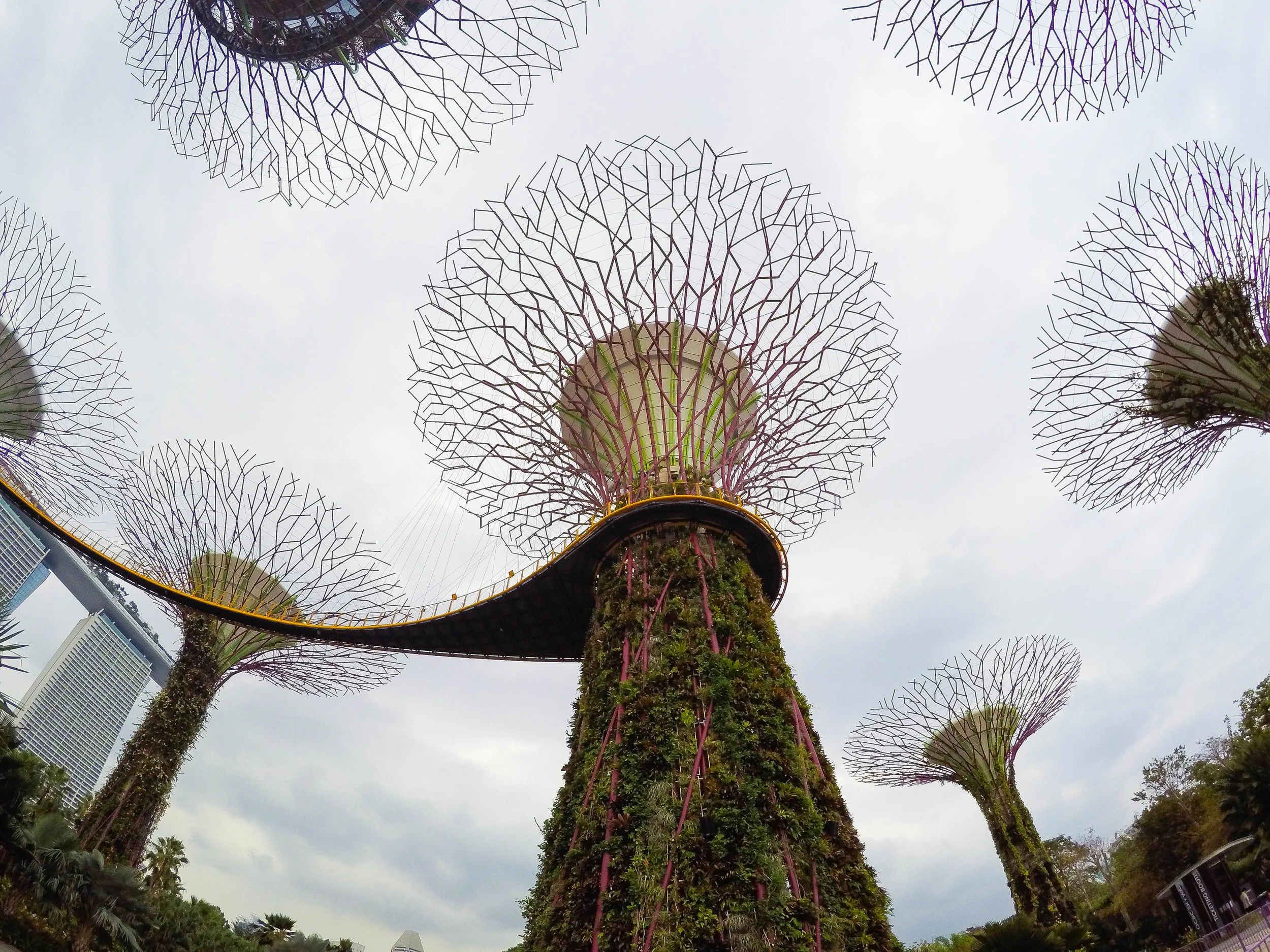 THE ULTIMATE SINGAPORE BUCKET LIST