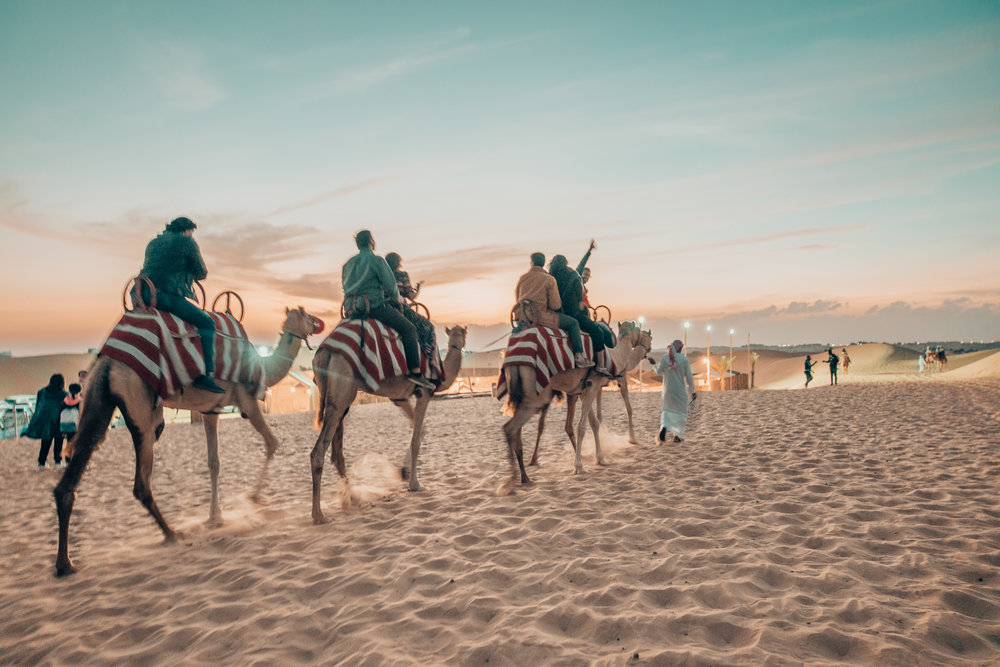 Why A Desert Safari Tour Should Be On Your Dubai Bucket List