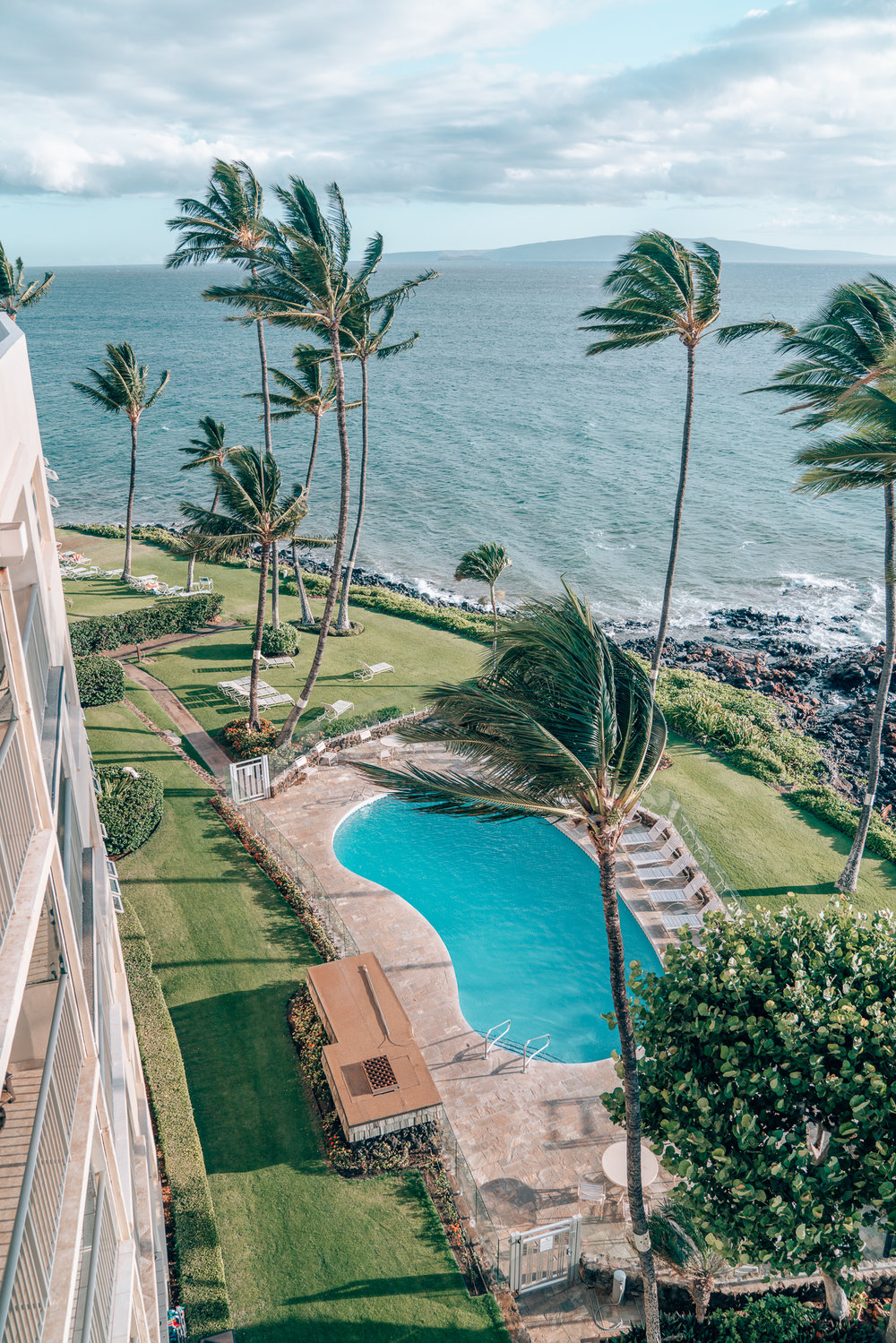 Pool Views at Maui Beachside