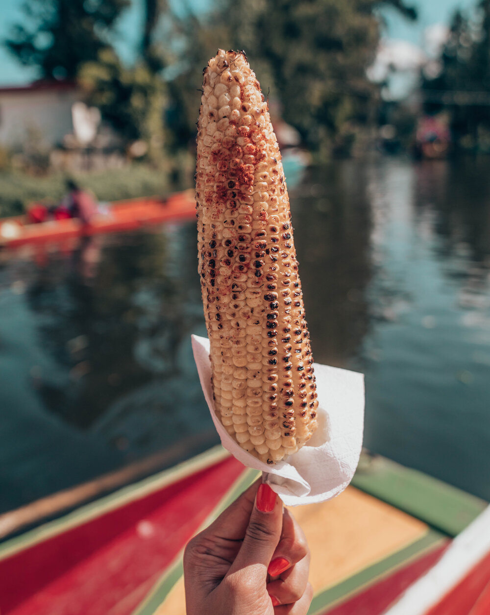 Elote Xochimilco Mexico City