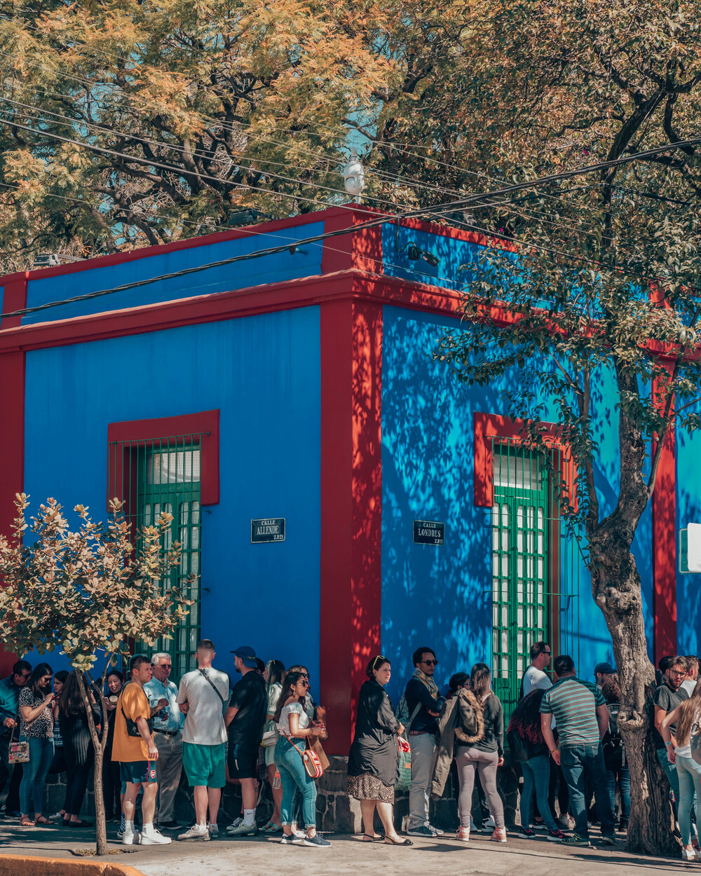 Frida Kahlo Museum (La Casa Azul)