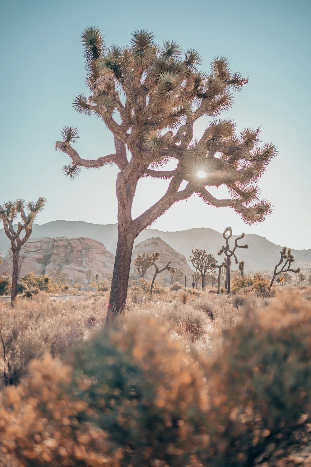 HOW TO PLAN A SAFE ROAD TRIP DURING THE PANDEMIC