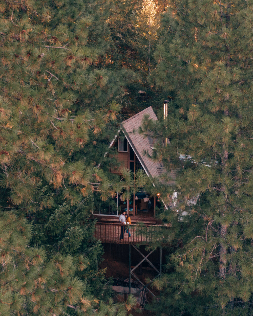Unique Romantic A-Frame Cabin Treehouse, California - Shem Hooda