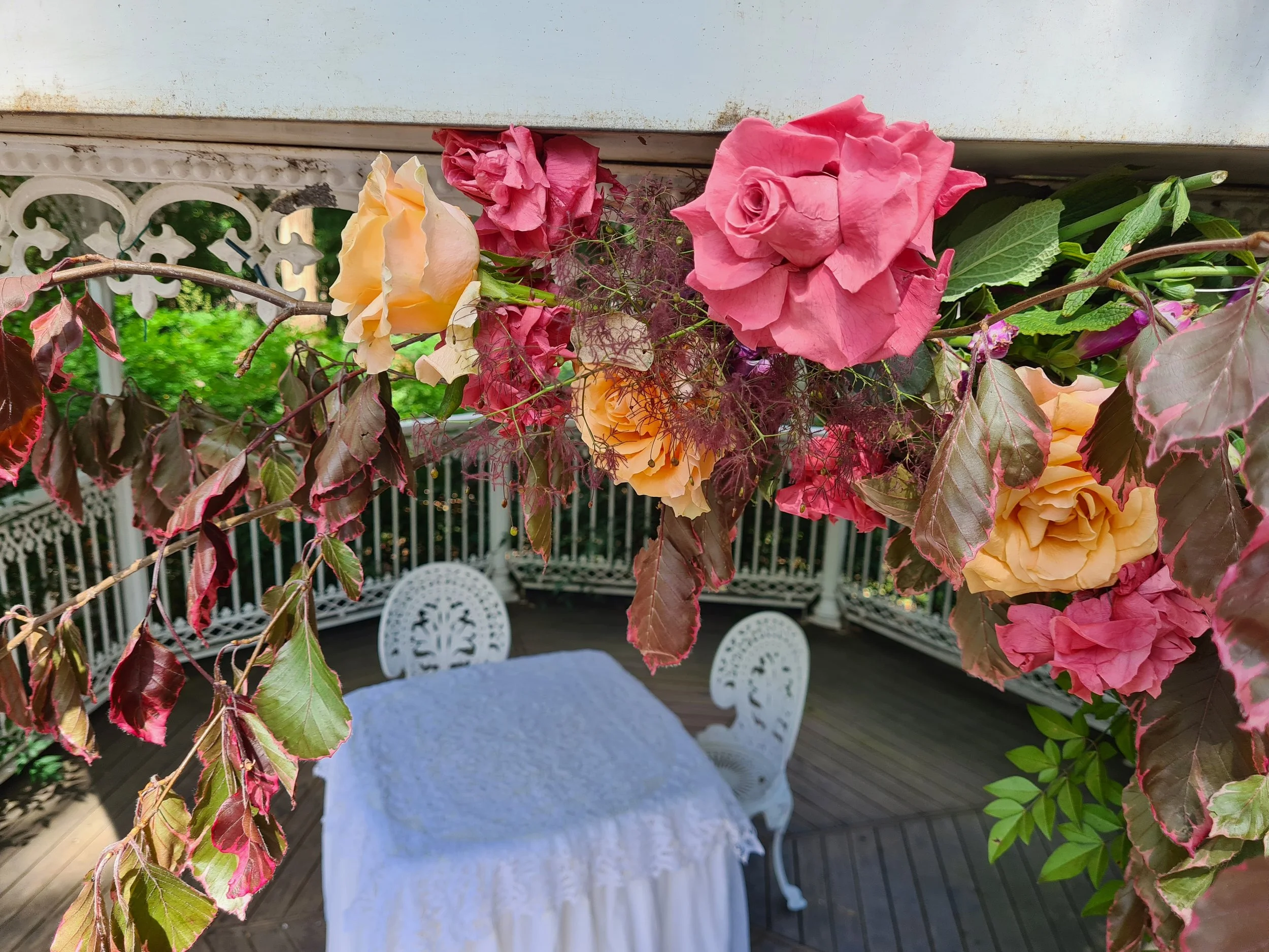 20201107_150257.jpg