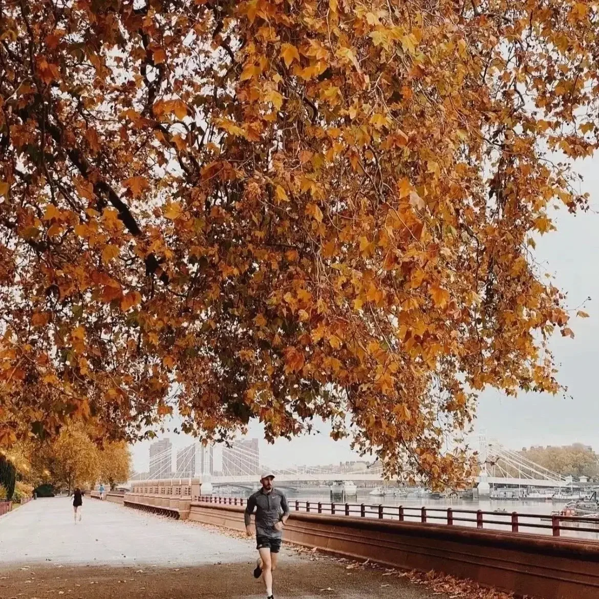 Cardiovascular fitness training session in South Kensington