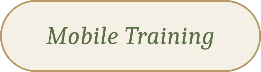 Mobile personal training in Battersea, Chelsea & Clapham