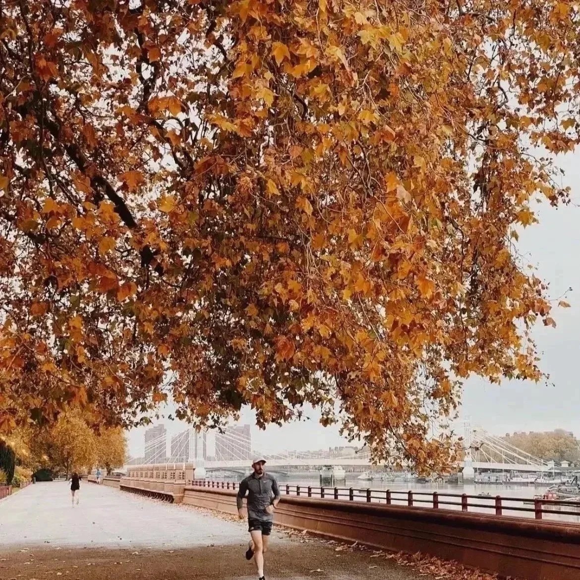 Home personal training session in Battersea SW11