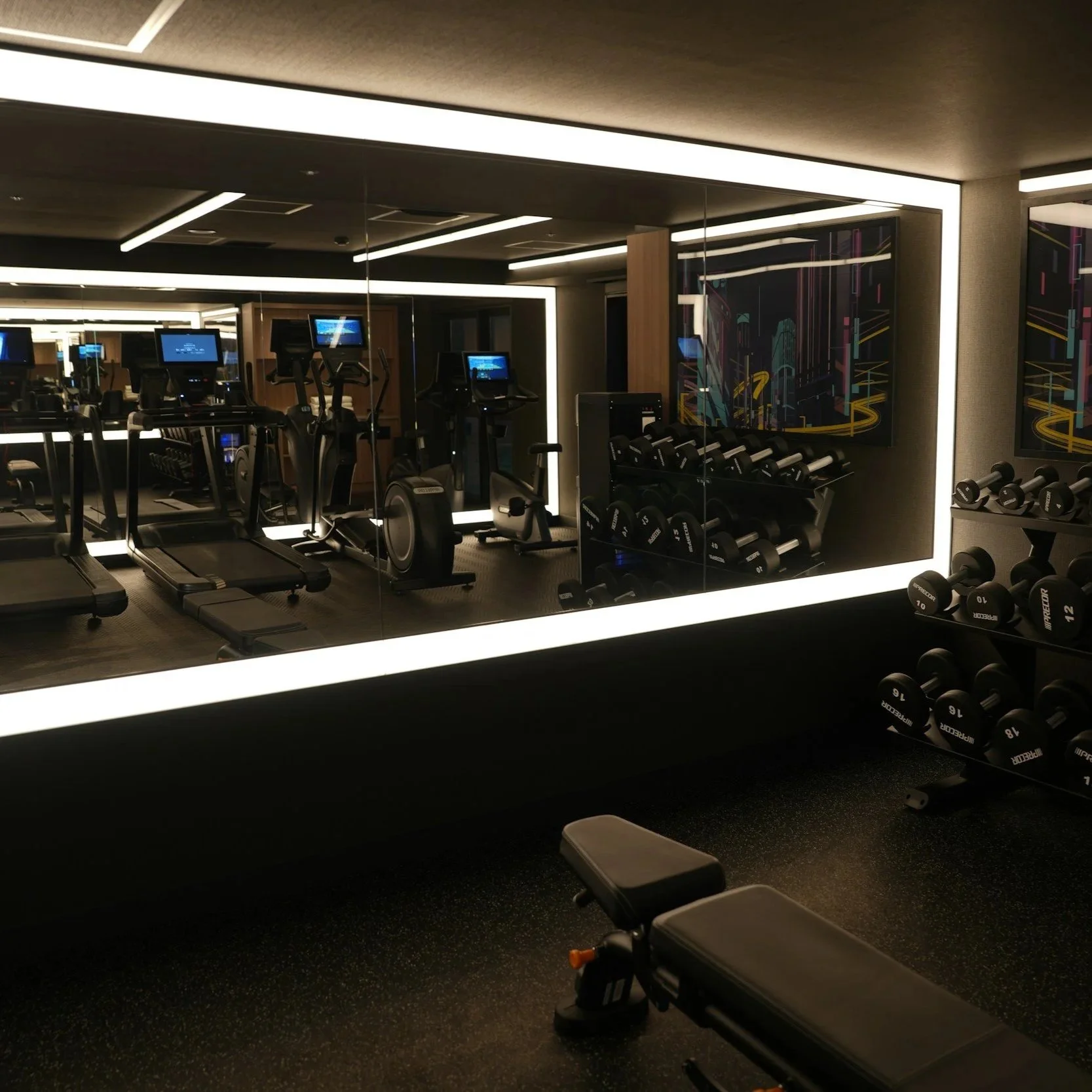 Gym near Pimlico SW1 with modern fitness equipment