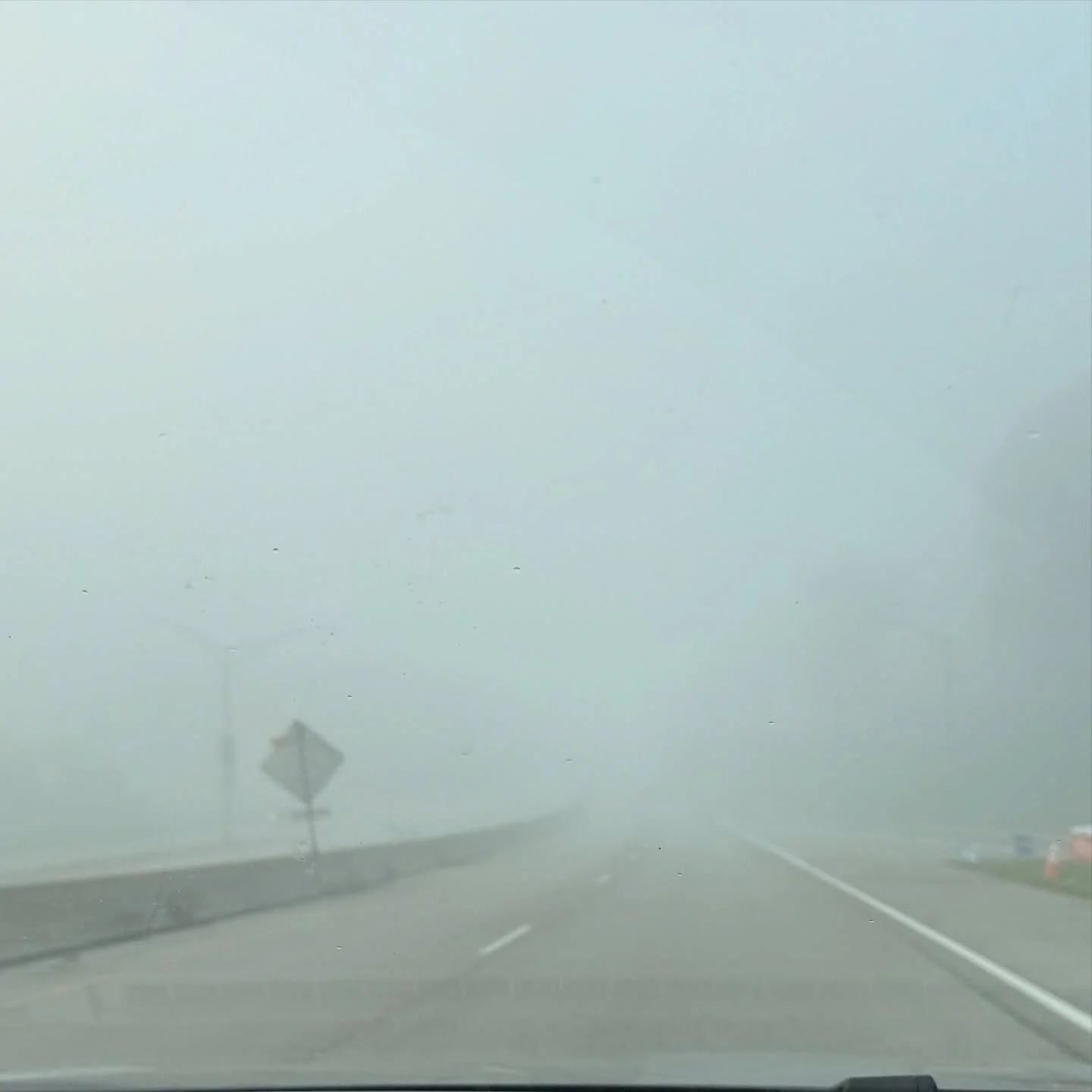 Today I left the house to vote and on my way it was at once blindingly sunny and foggy. I couldn&rsquo;t see more than a few feet in front of me. The combination of the rising sun and the fog  can obscure the truth of what you see. In the fog you can