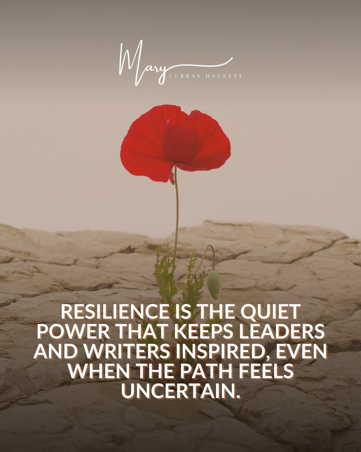 Even when the road feels uncertain, your perseverance defines your path. ✨
Resilience isn&rsquo;t loud&mdash;it&rsquo;s the steady force that helps leaders and writers keep moving forward, create impact, and stay inspired in every step of their journ