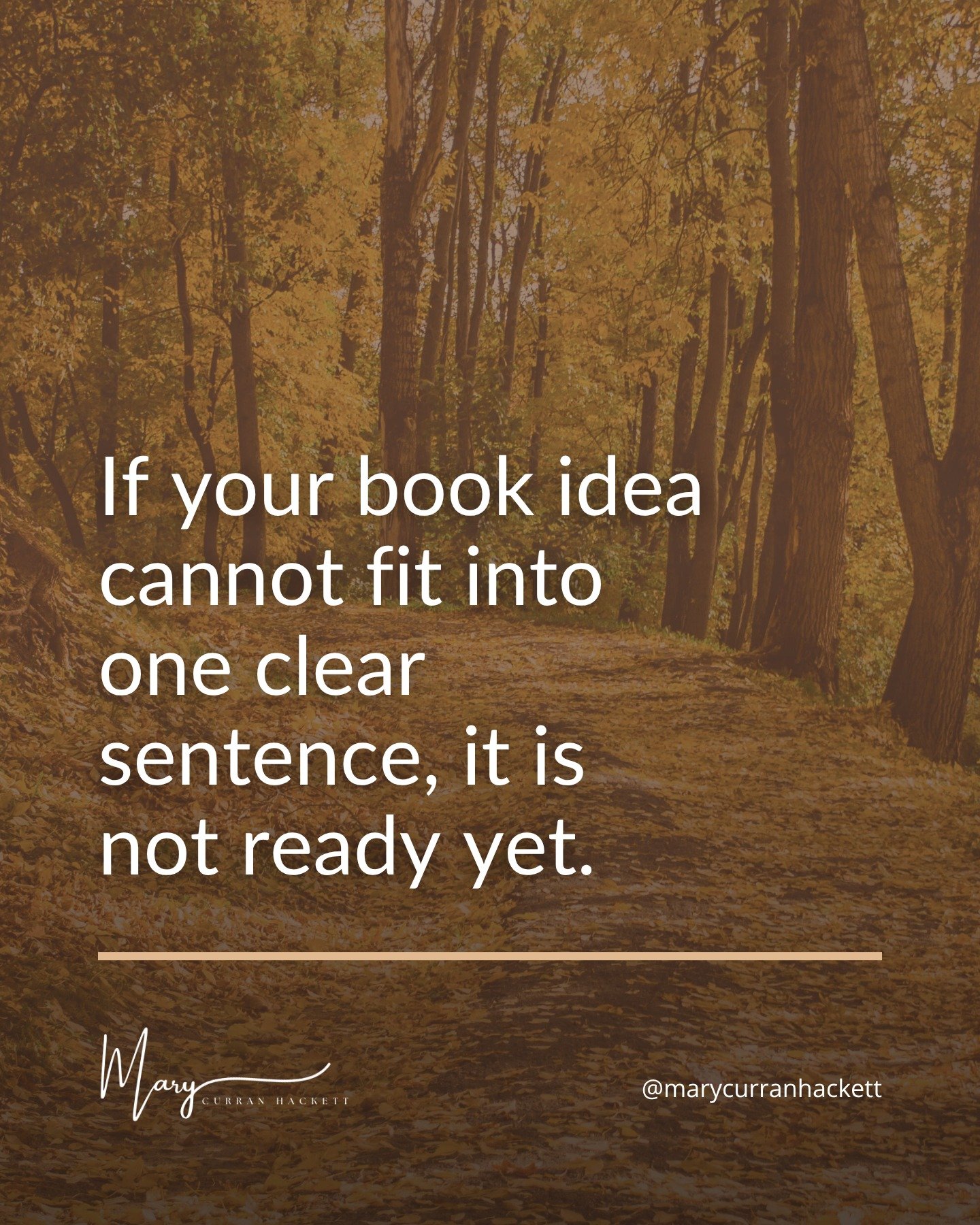 Strong books start with a simple and repeateble idea.

If your book can't be explained in one clear sentence, it's not ready yet.

Because if your audience can't easily repeat your message, they won't remember it. And they definitely won't share it.
