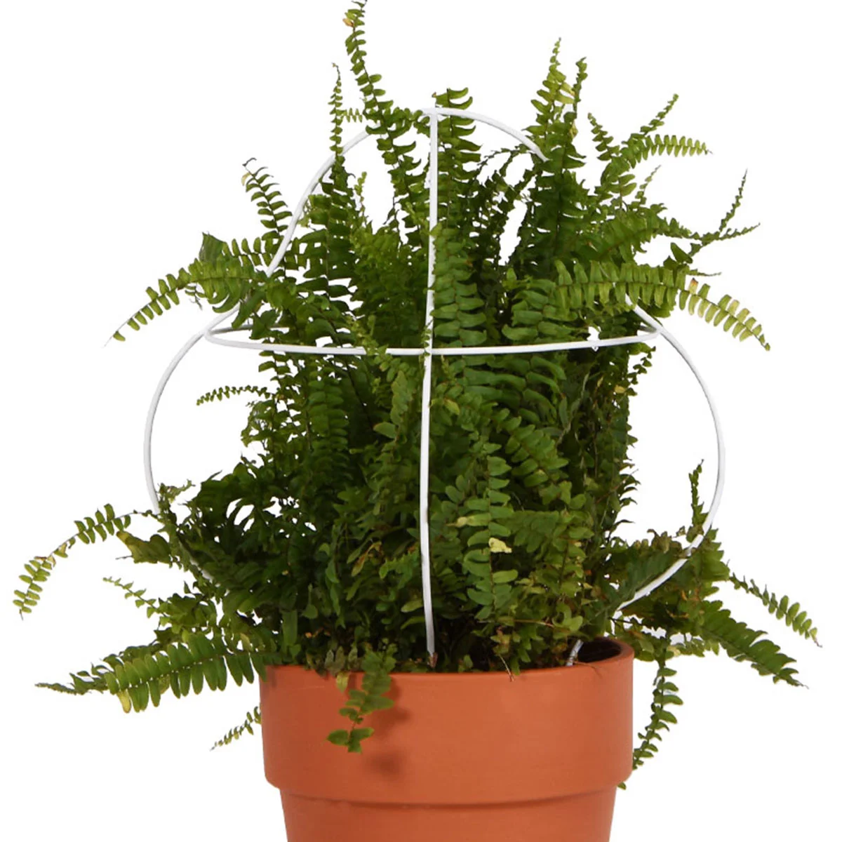 pot-fleurs-outline-4-enostudio-design-1.jpg