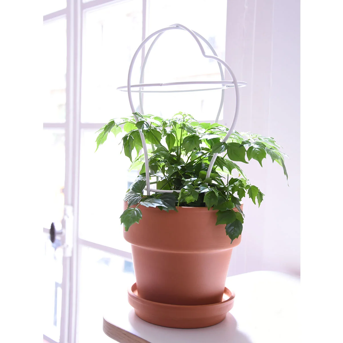 pot-fleurs-outline-enostudio-design-1.jpg