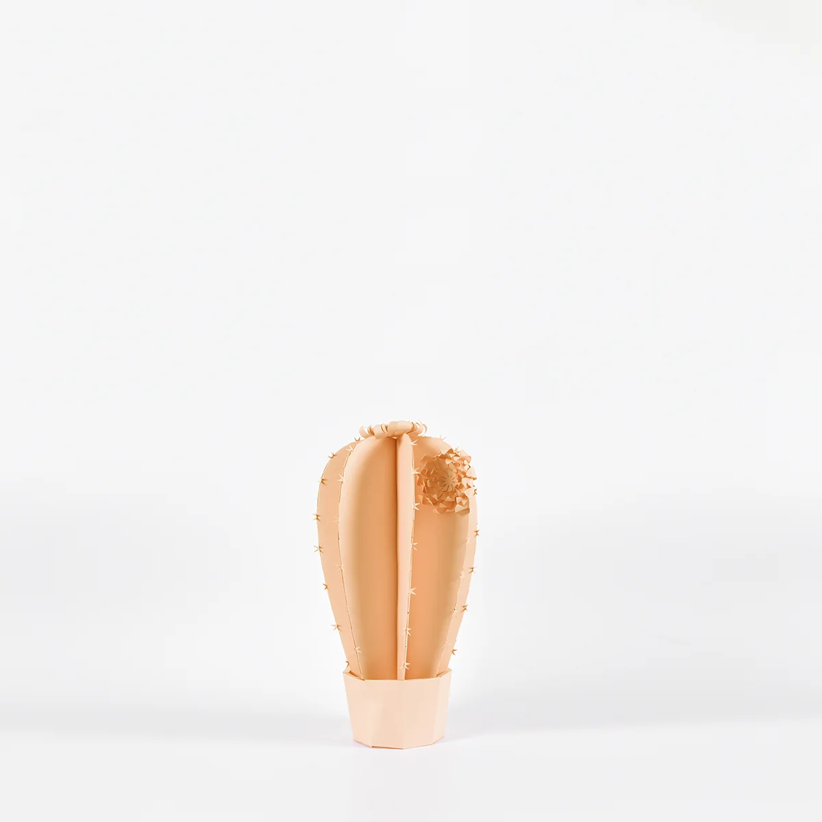 PIK PIK PM apricot.jpg