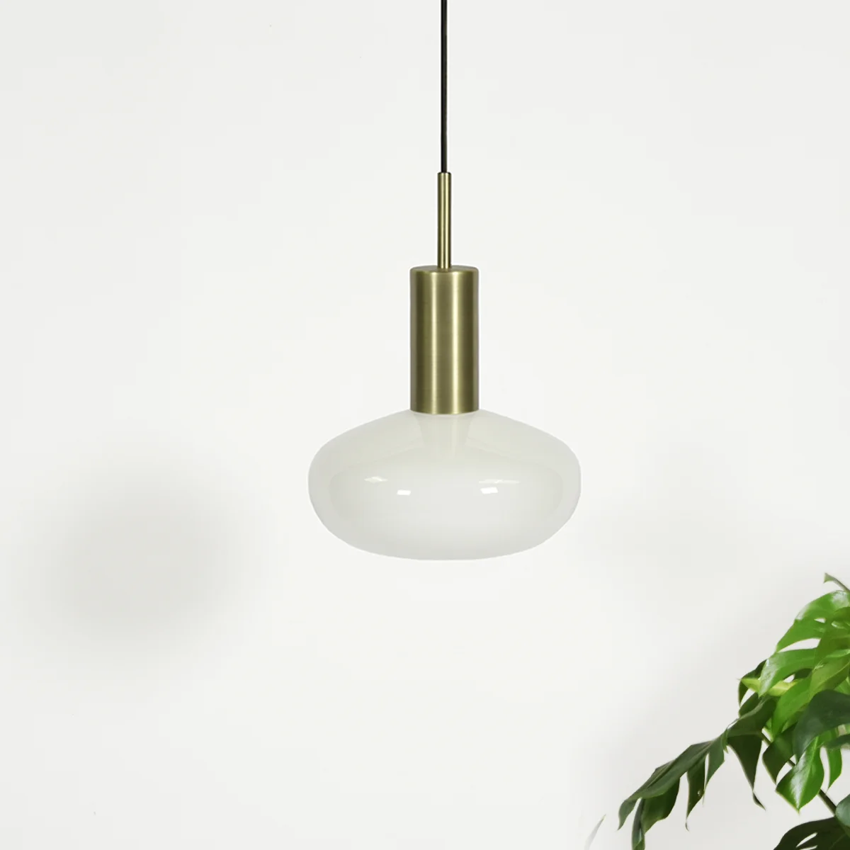 GAMBI brass opal plant ENOstudio.jpg