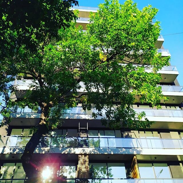 #dzainpatricios seguimos avanzando con todo! Luce como lo so&ntilde;amos! Te invitamos todos los d&iacute;as para que pases a conocer y ser parte de este gran proyecto ! Cont&aacute;ctanos 1166957605 #mudatealdistrito #venavivir #distritotecnologicoc