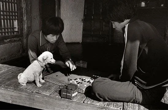 A Kim Ki-chan photo from the 1960s was often full of humor, people, and dogs. Development-era days weren't all so bad.