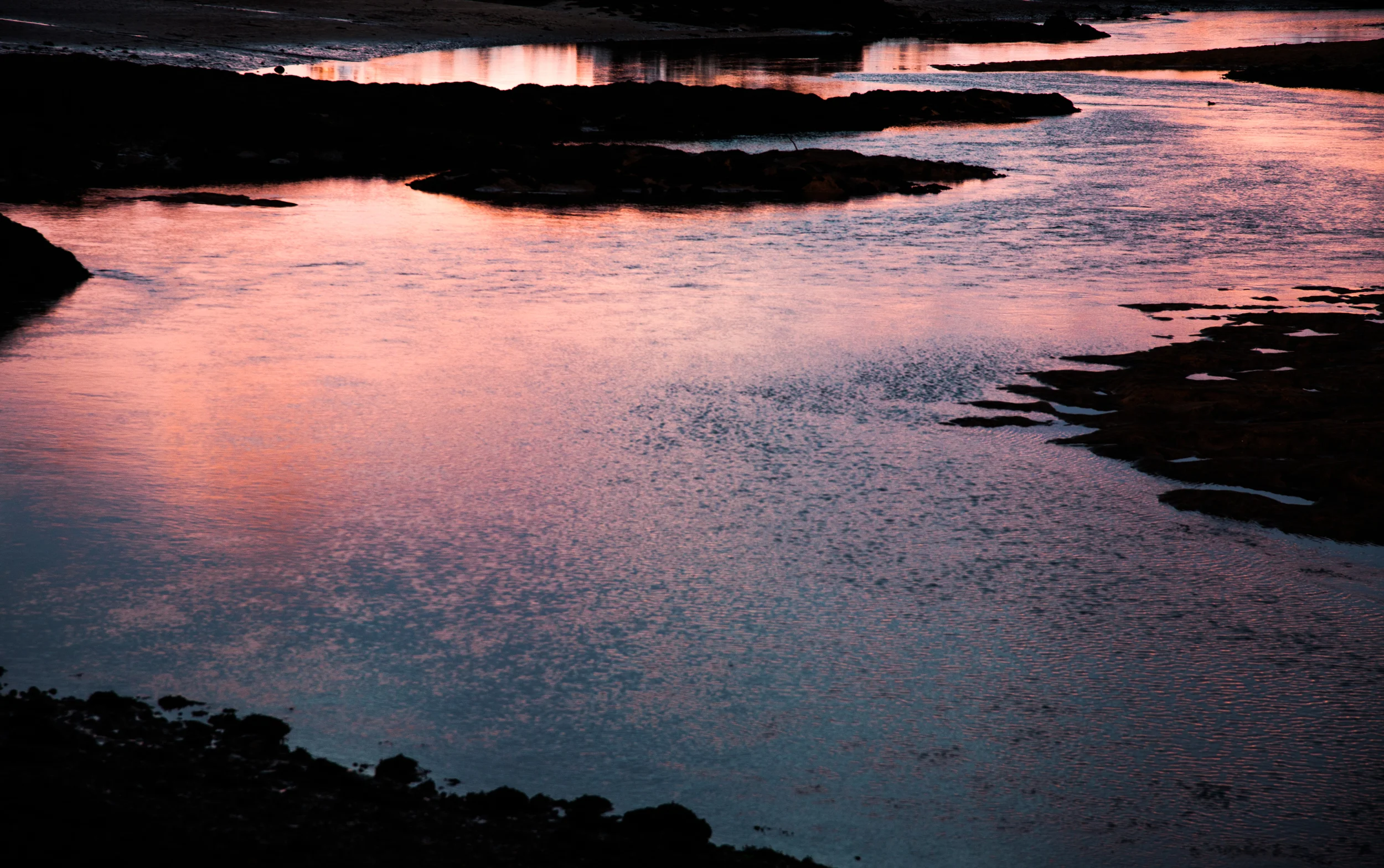 Pink sea
