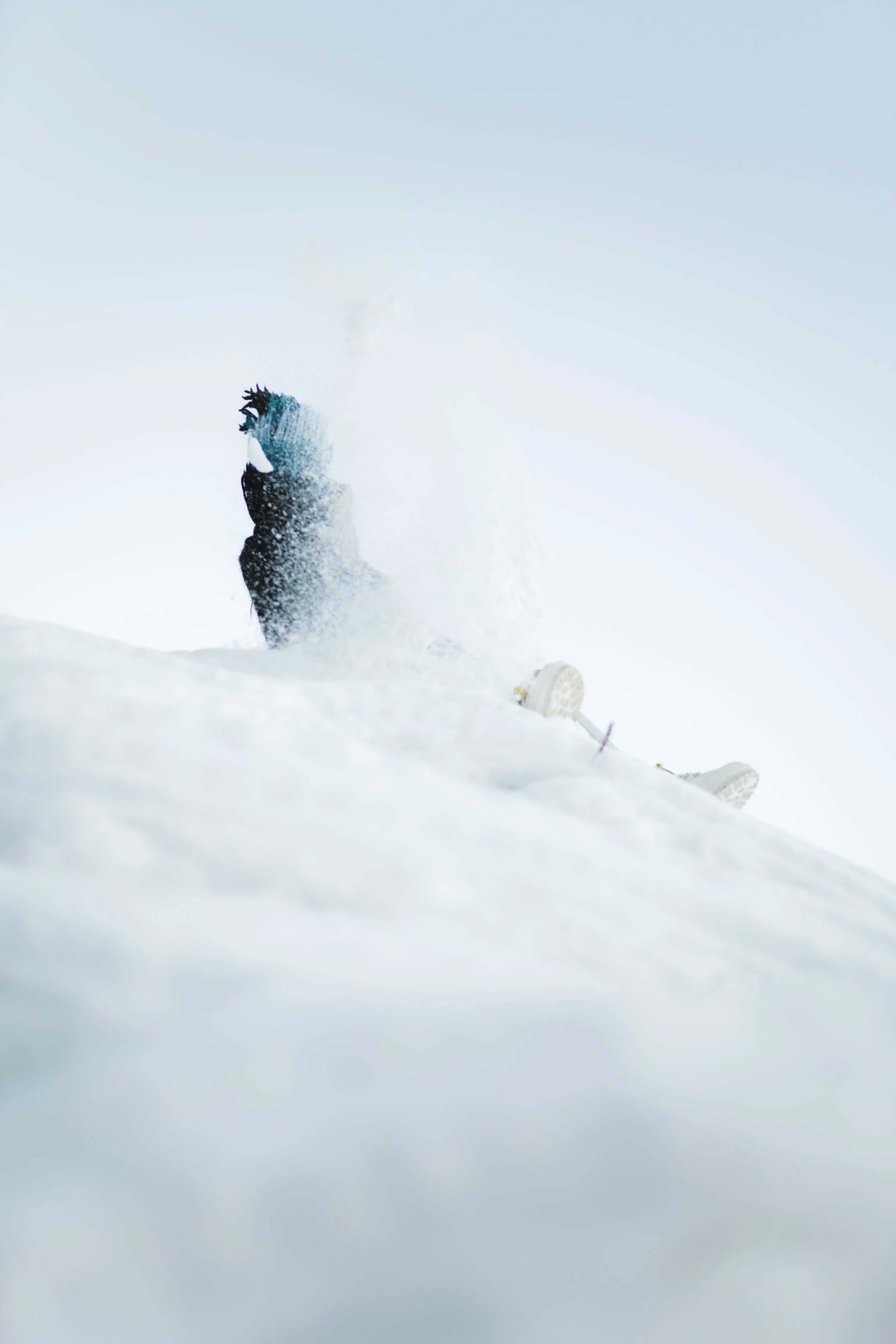 _DSC3359.jpg