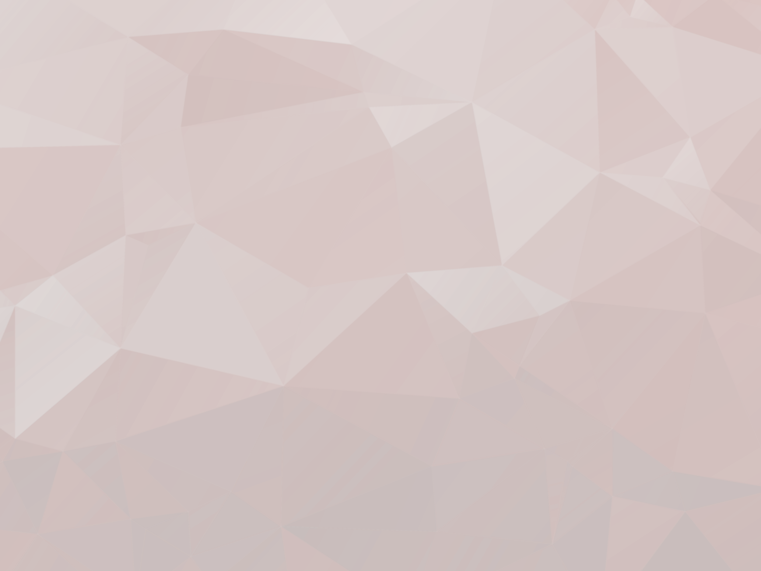 FullRedTrianglesBanner.png