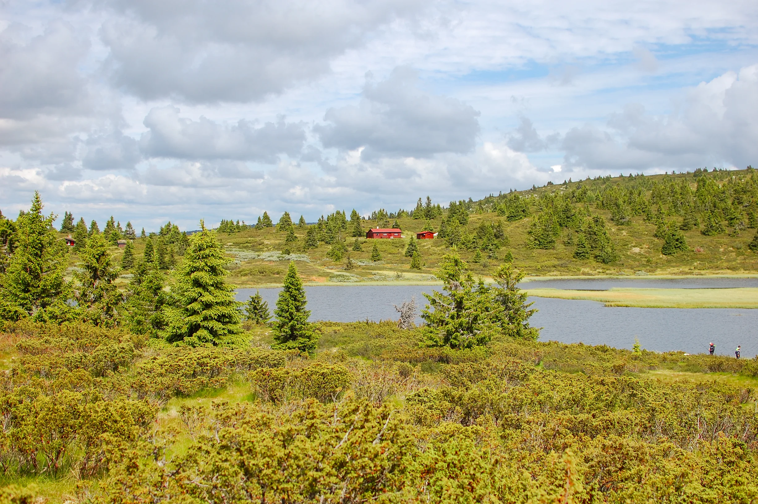DSC_7900.jpg