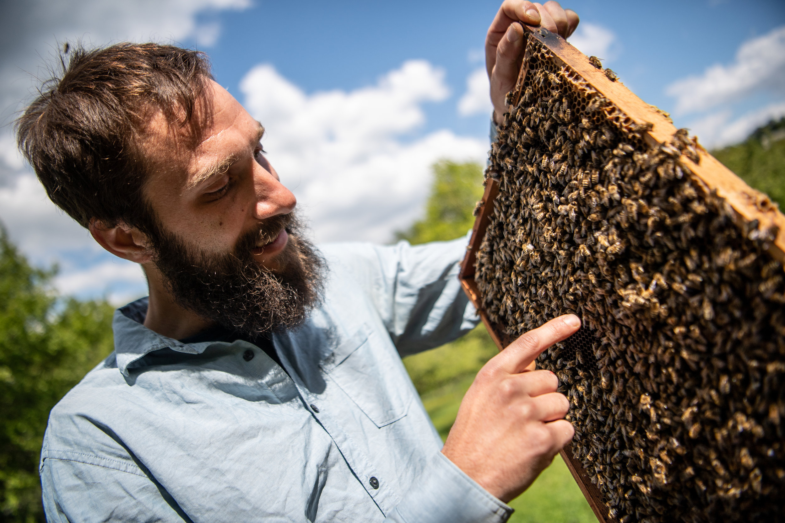  Er ist als Imker vom Bienensterben direkt betroffen. 