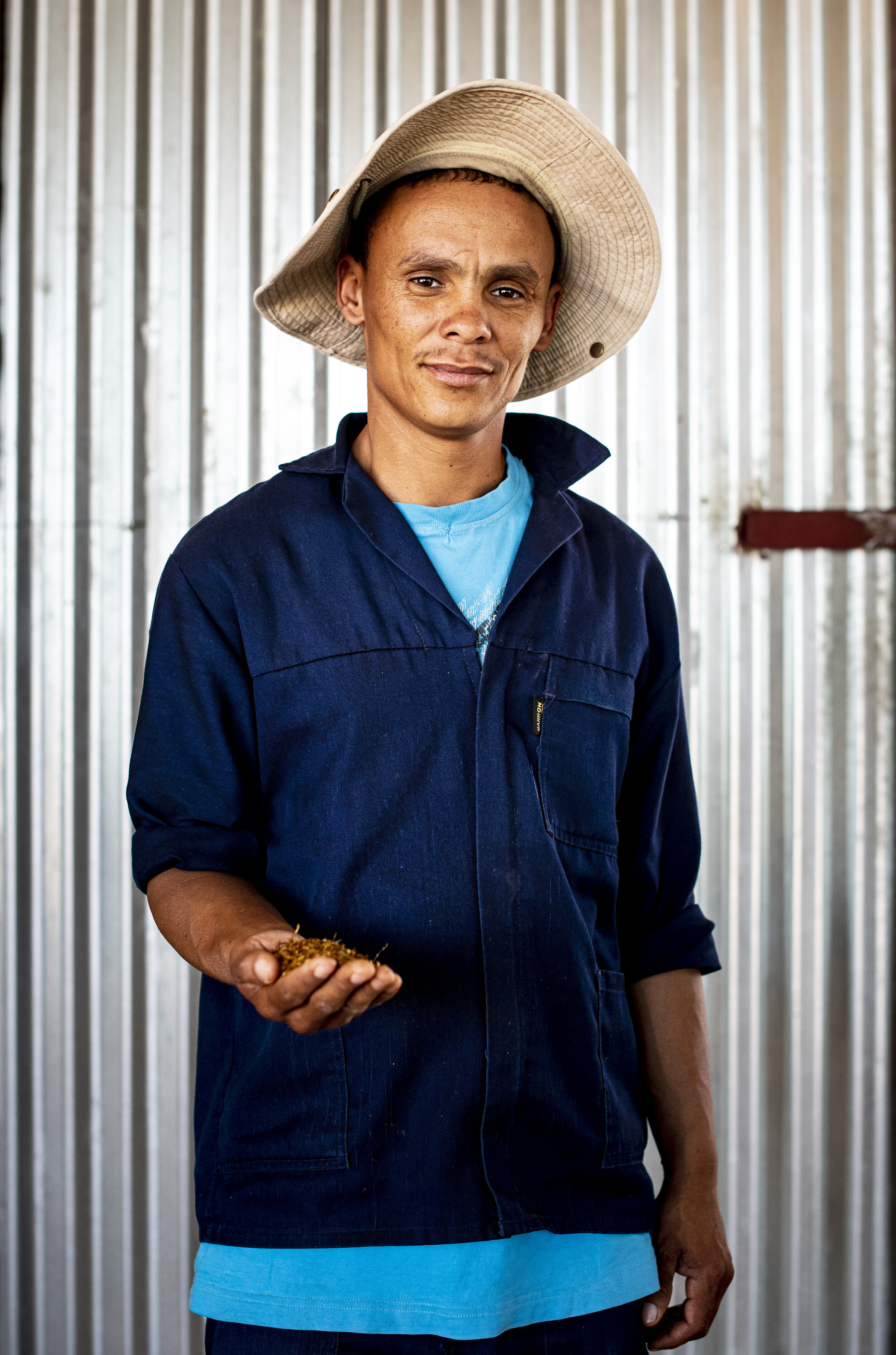  Lenas Cousin Andreas Kotze hat ebenfalls eine kleine Rooibos Farm. 