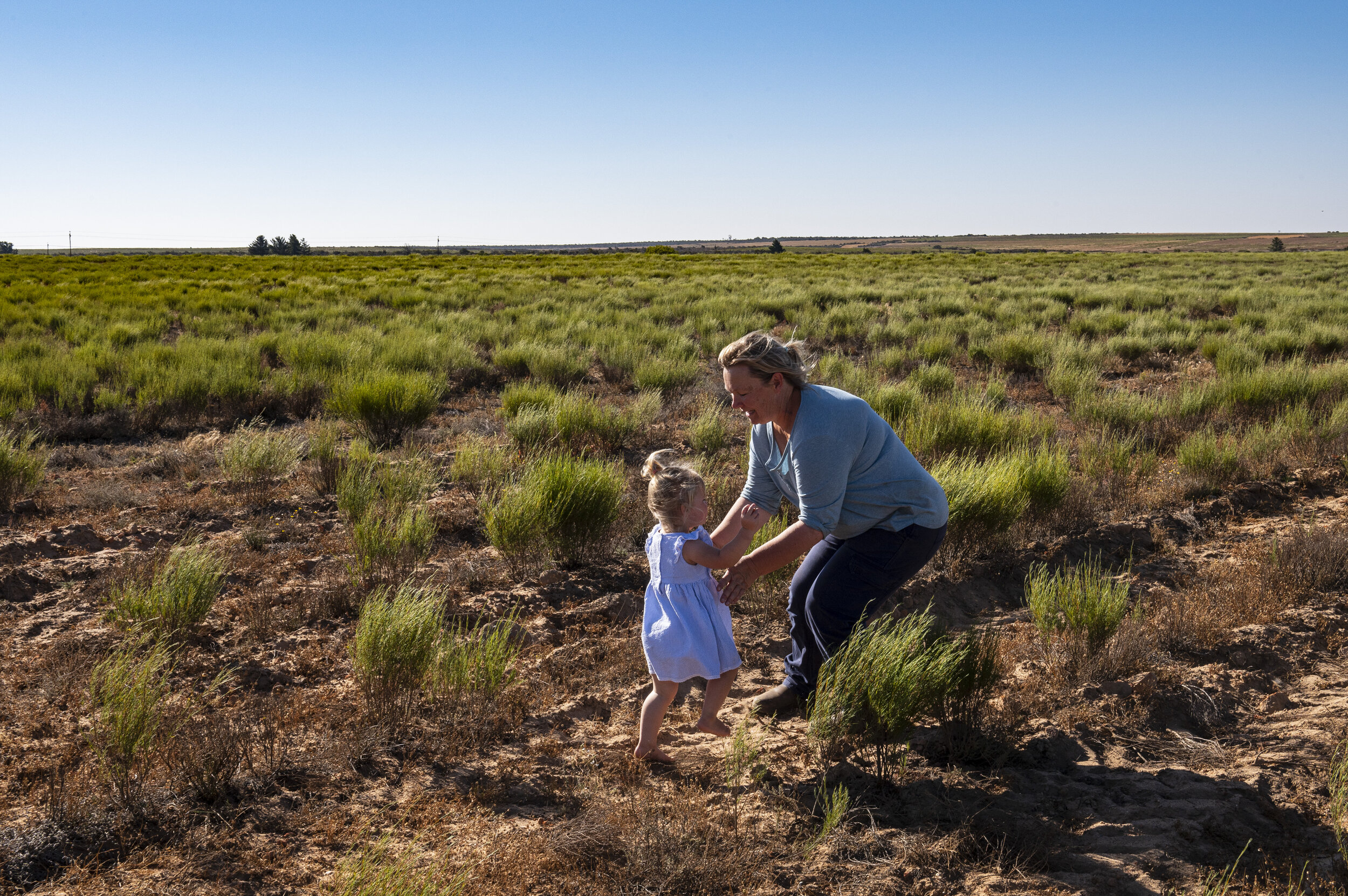  Die Enkeltochter von Marie läuft über das Rooibos Feld in die Arme ihrer Großmutter. 