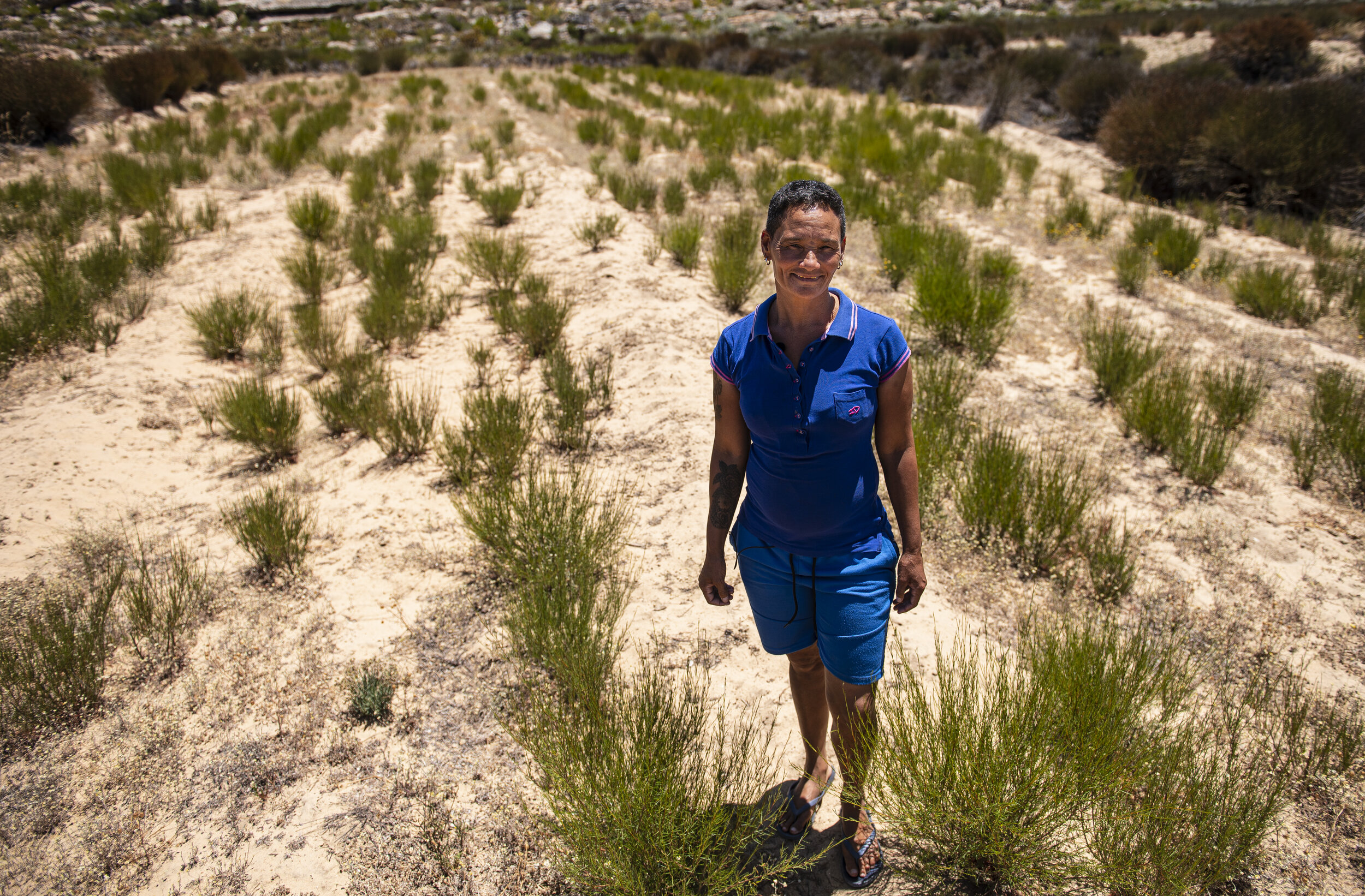  Lena Koze steht in einem ihrer Rooibos Felder. Sie kann von dem Ertrag ihrer Farm gut leben. Die Heiveld-Kooperative hat Lena erfolgreich geholfen, das Land für den Anbau zu nutzen. 