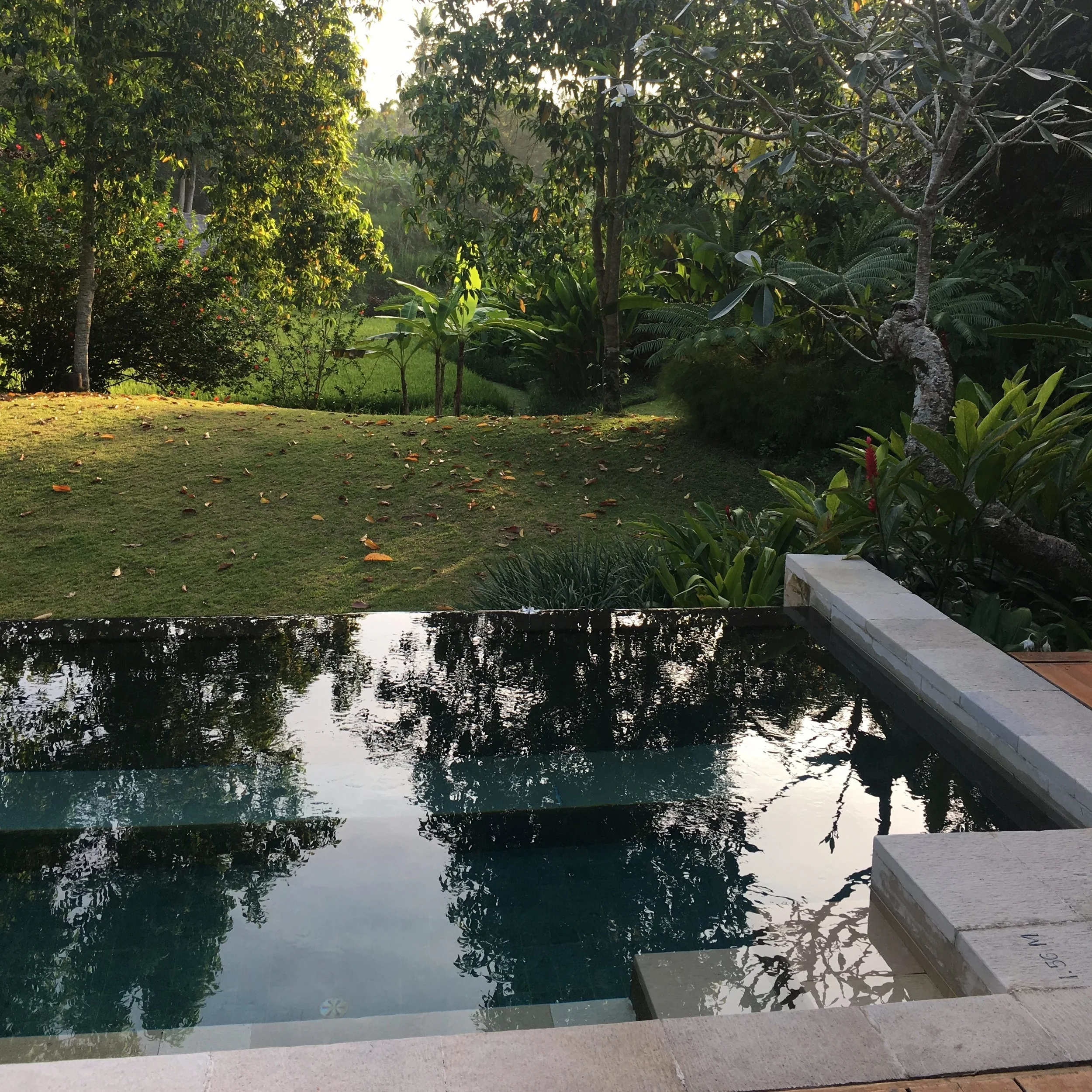Peaceful jungle view: the pool in front of our villa at Four Seasons Sayan 