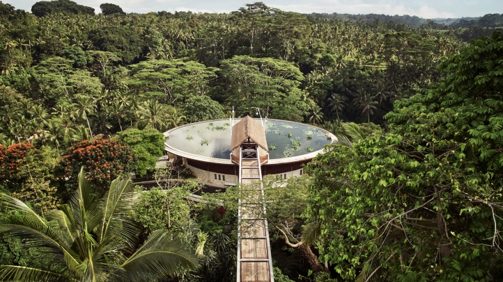 The Four Seasons Sayan sits below the circular lily pond. Guests reach the hotel by crossing the treetop-height walkway.