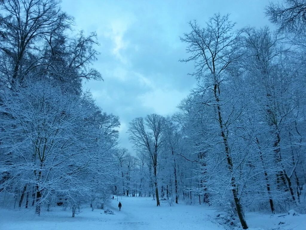 “Driving home for Christmas” or the danger of a single story