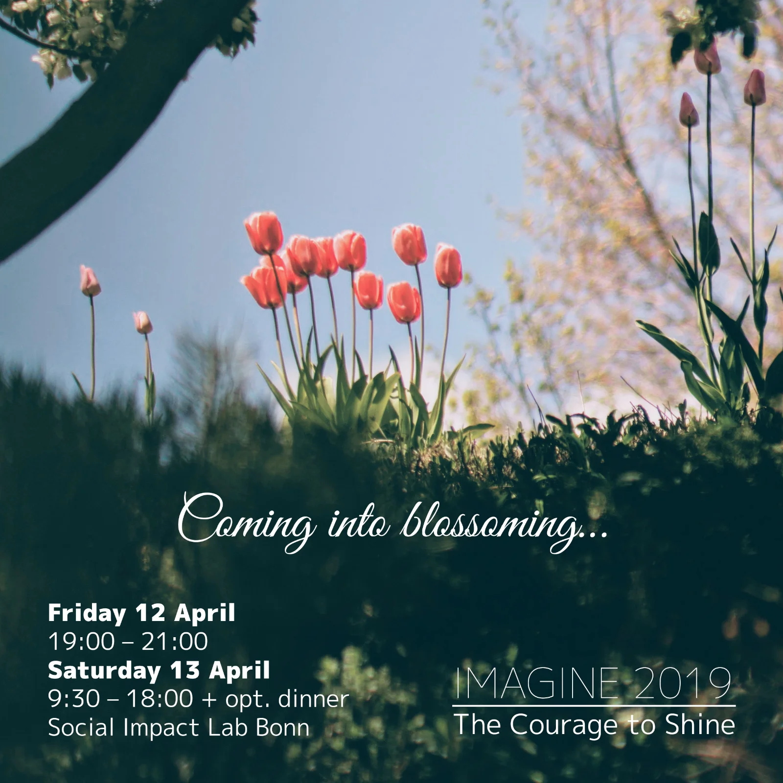 IMAGINE 2019-Coming into blossoming