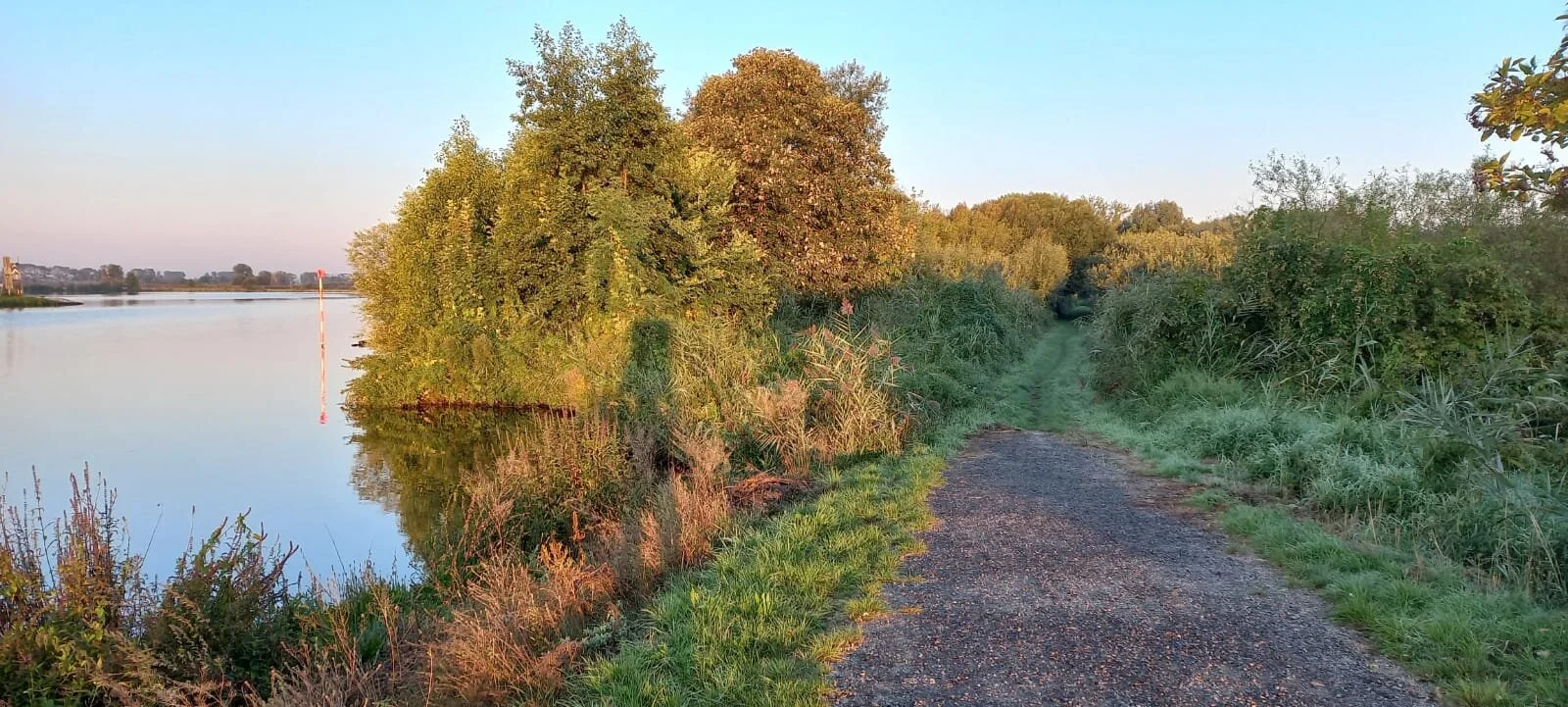 PARETZ OR DO YOU WANT TO SEE ME AGAIN