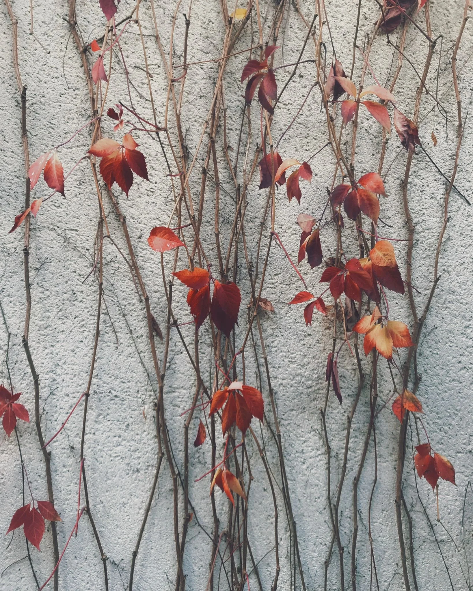 Endings, beginnings, and some messy middles, intertwined