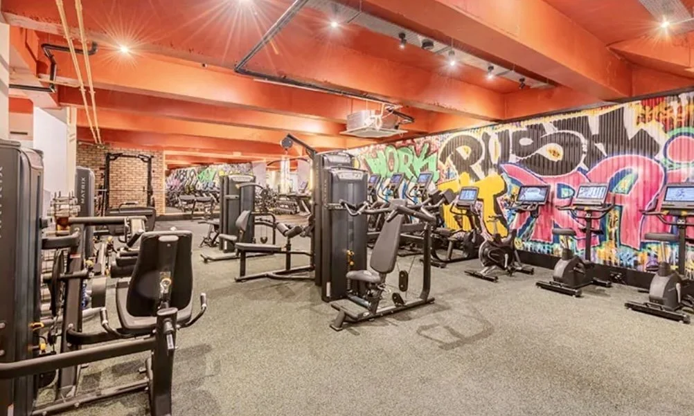 Gym 1.jpg