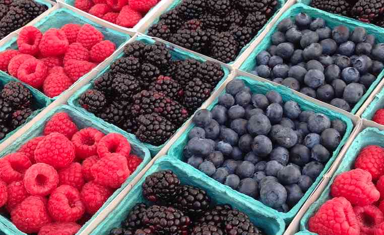 famers-market-berries.jpg