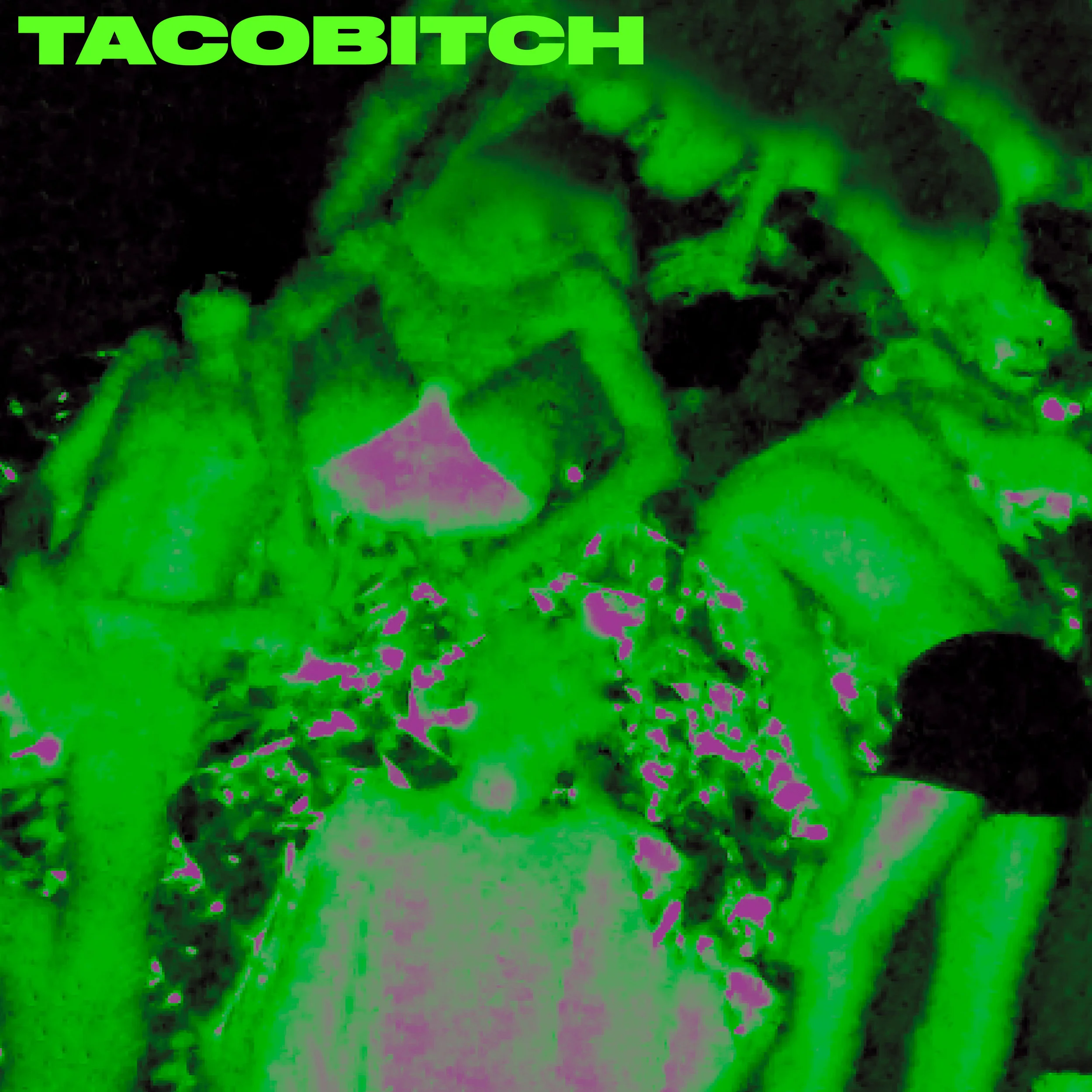 foto: Tacobitch