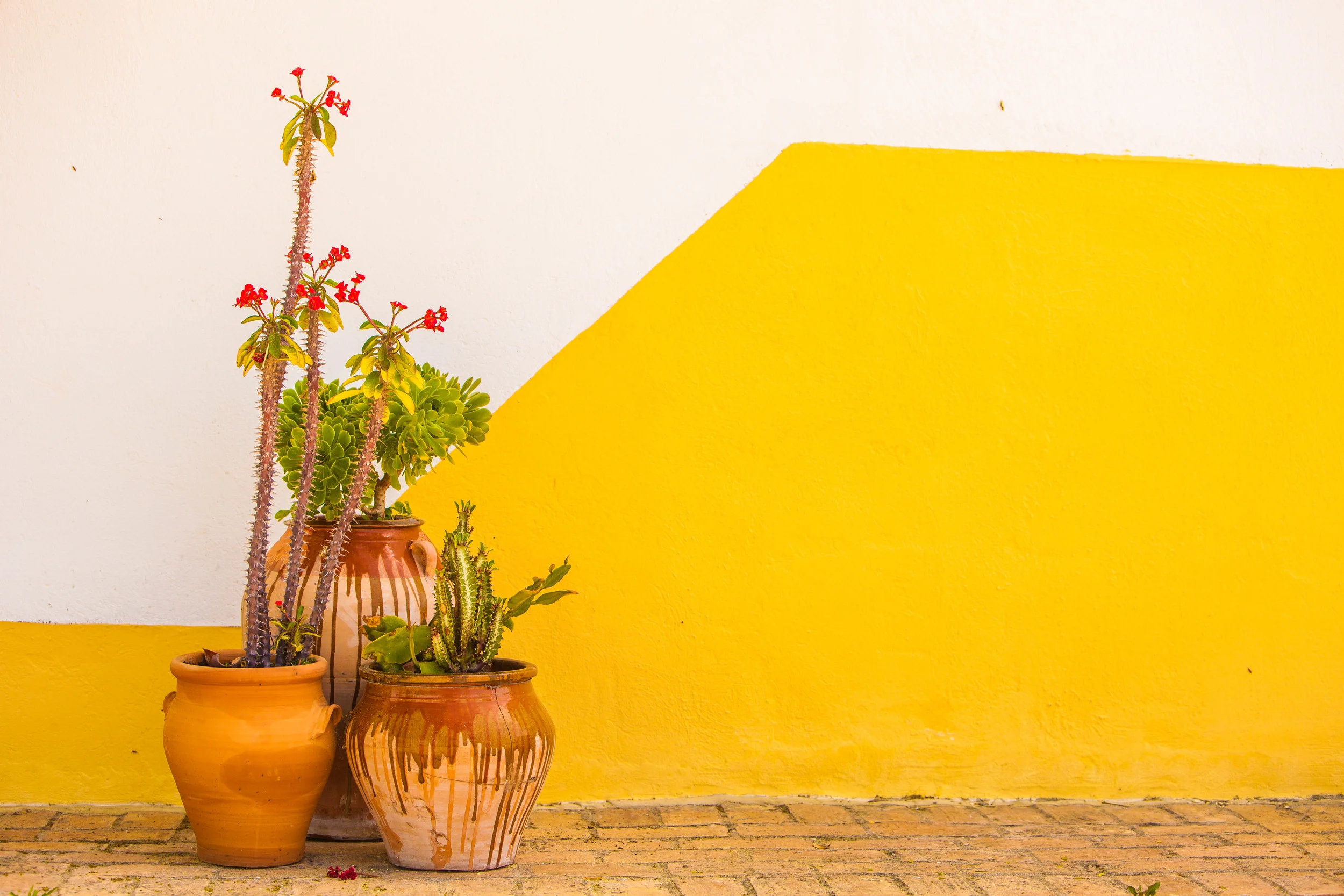 Travel_Spain-2019.jpg