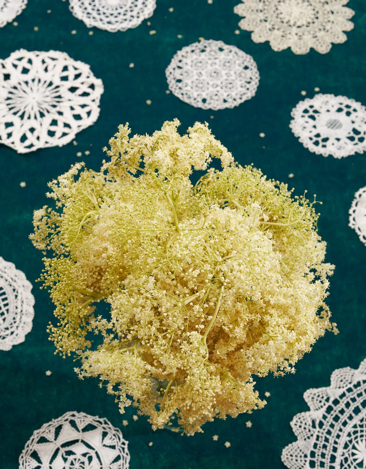 Likeness_SZ_Mag_Blumen_4.jpg