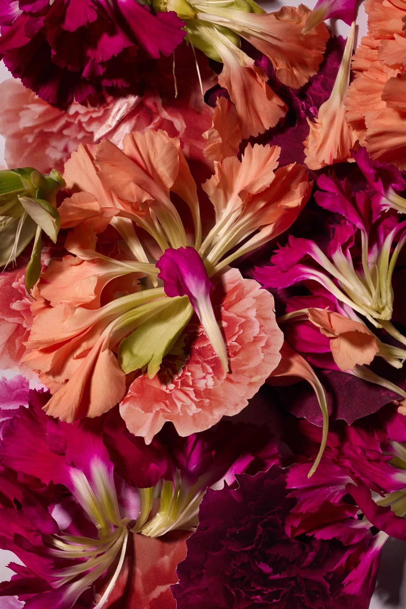Harms_N´Roses_#7.jpg
