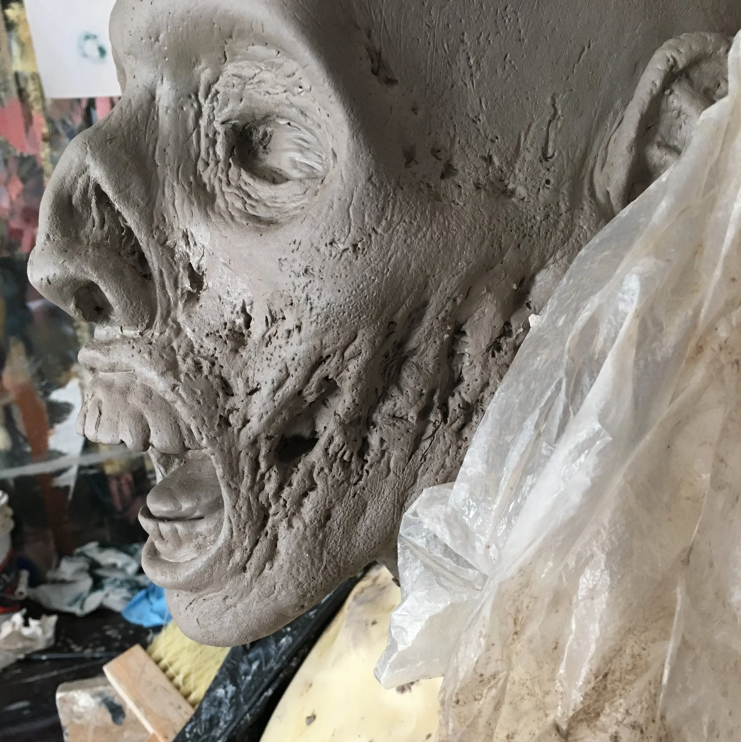 "Poltergeist" inspired cadaver mask W.I.P.