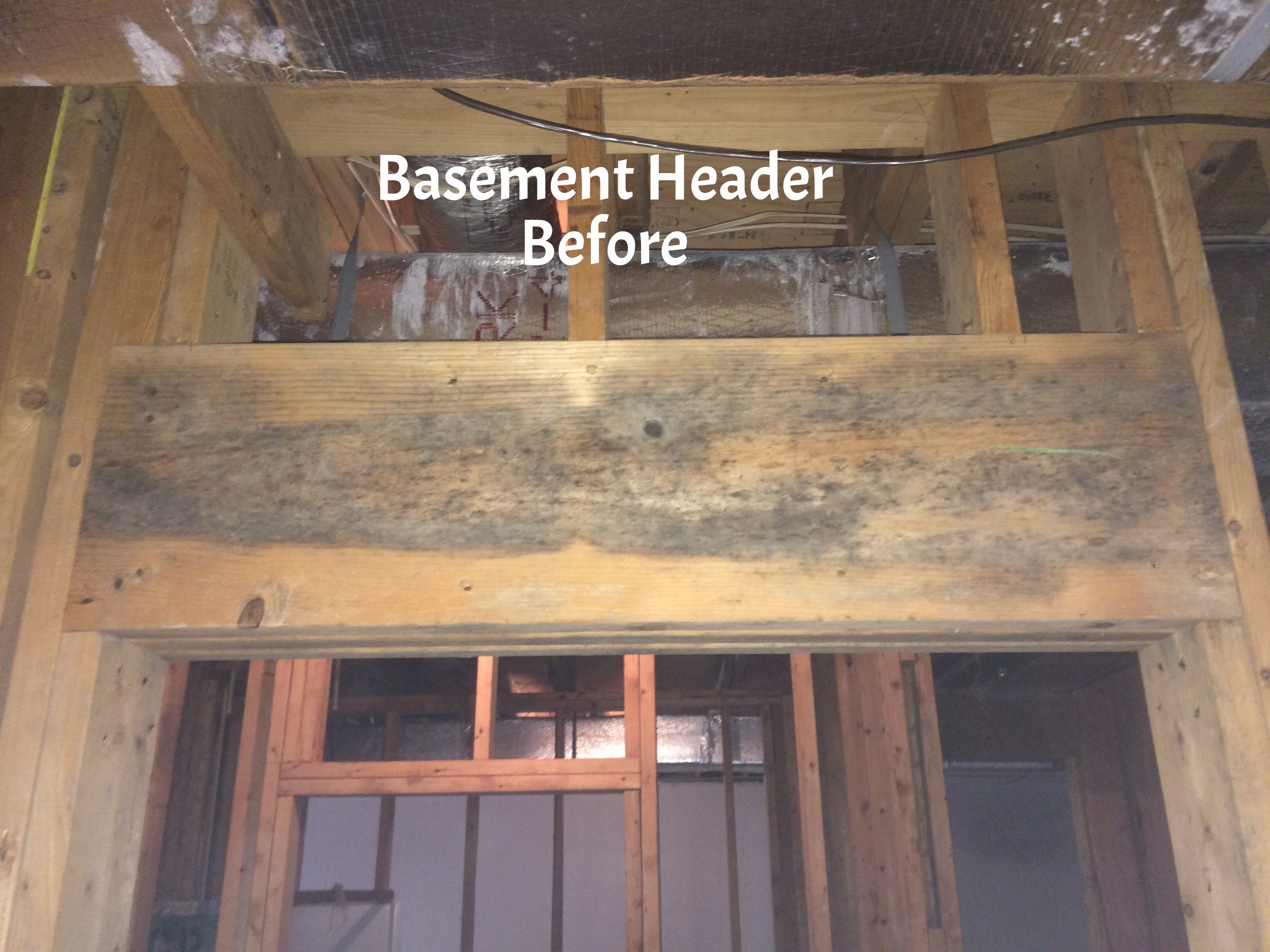 Basement Mold Remediation