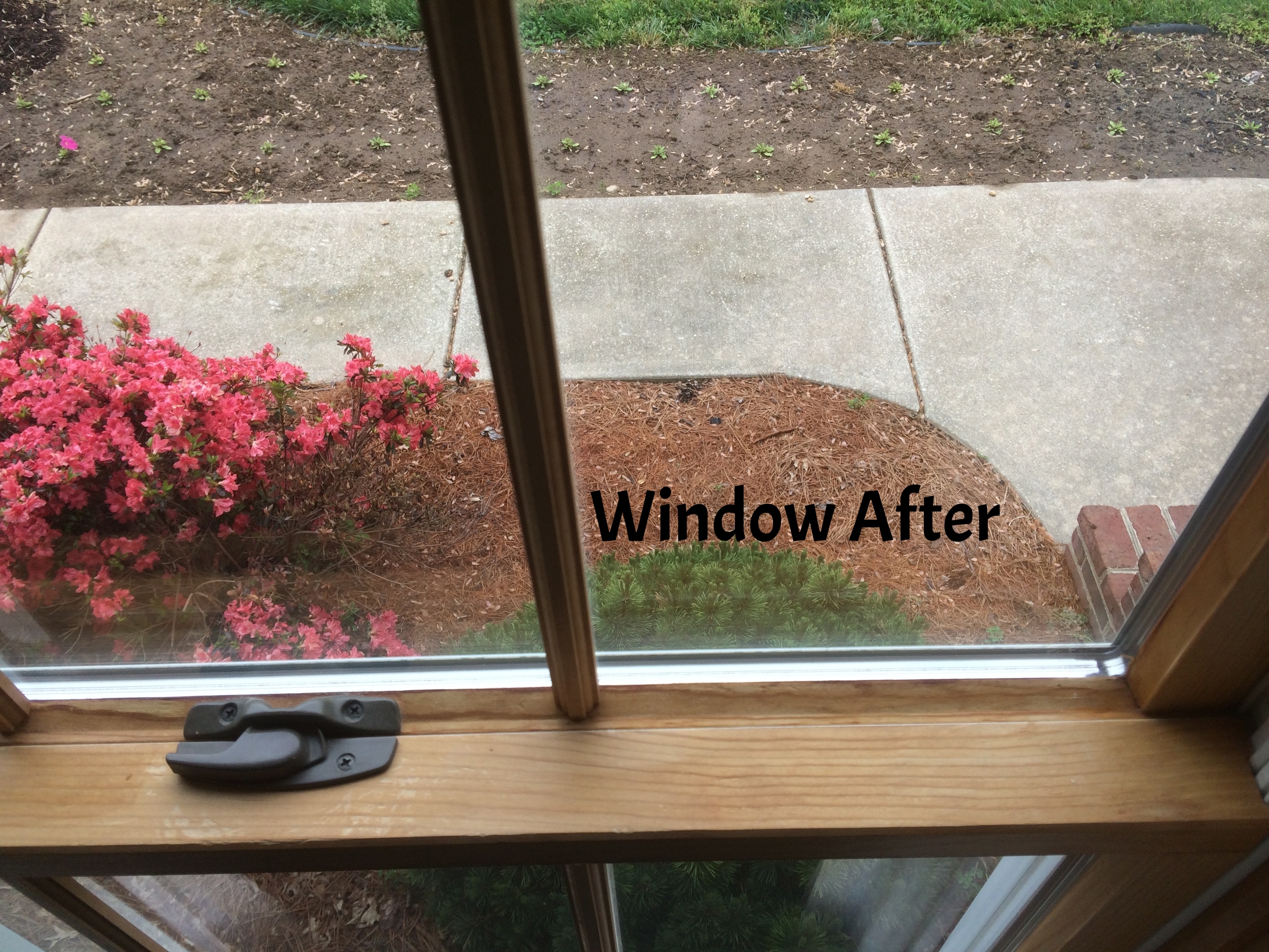 Moore window2.jpeg