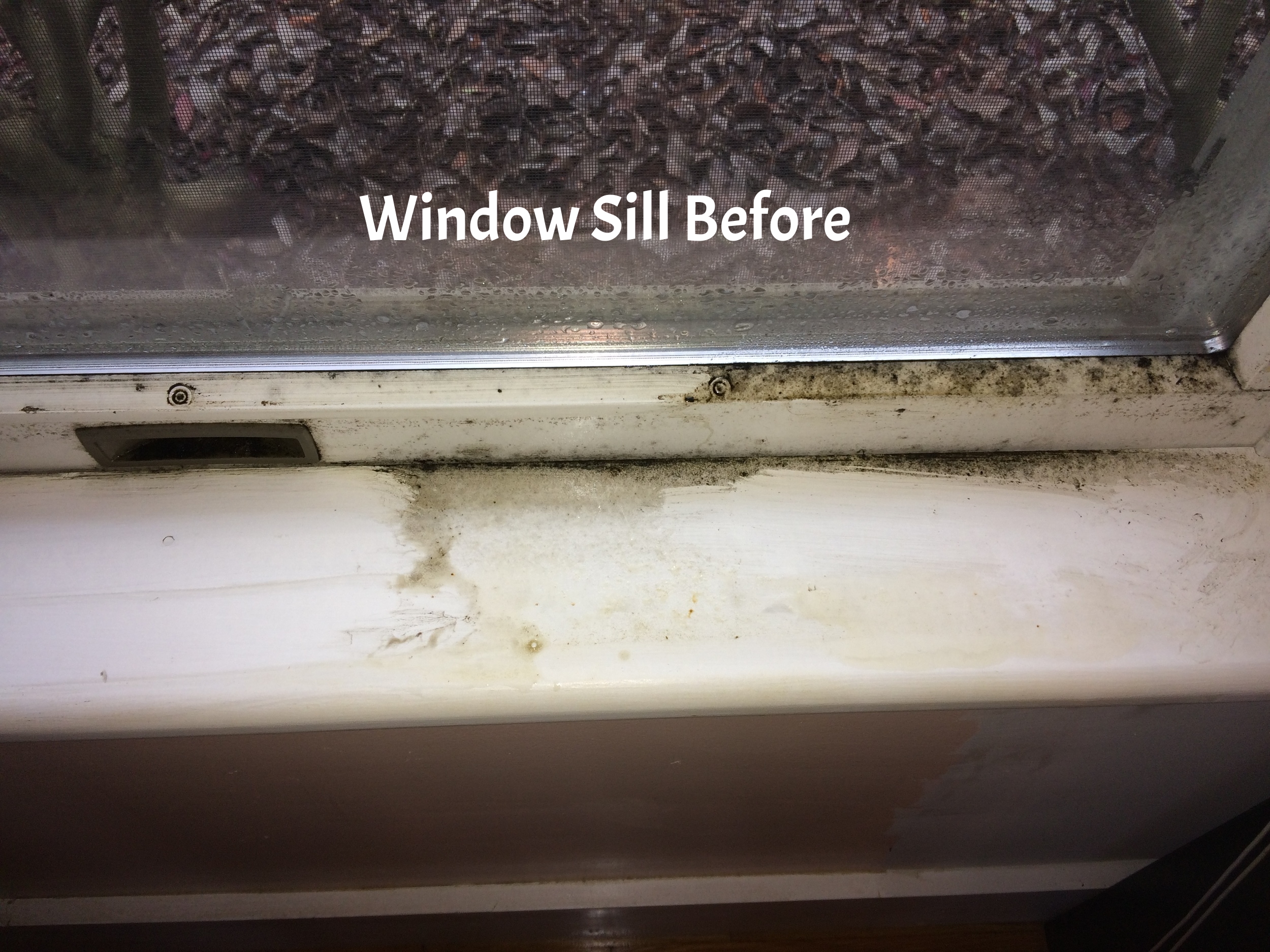 Windowsill before.jpeg