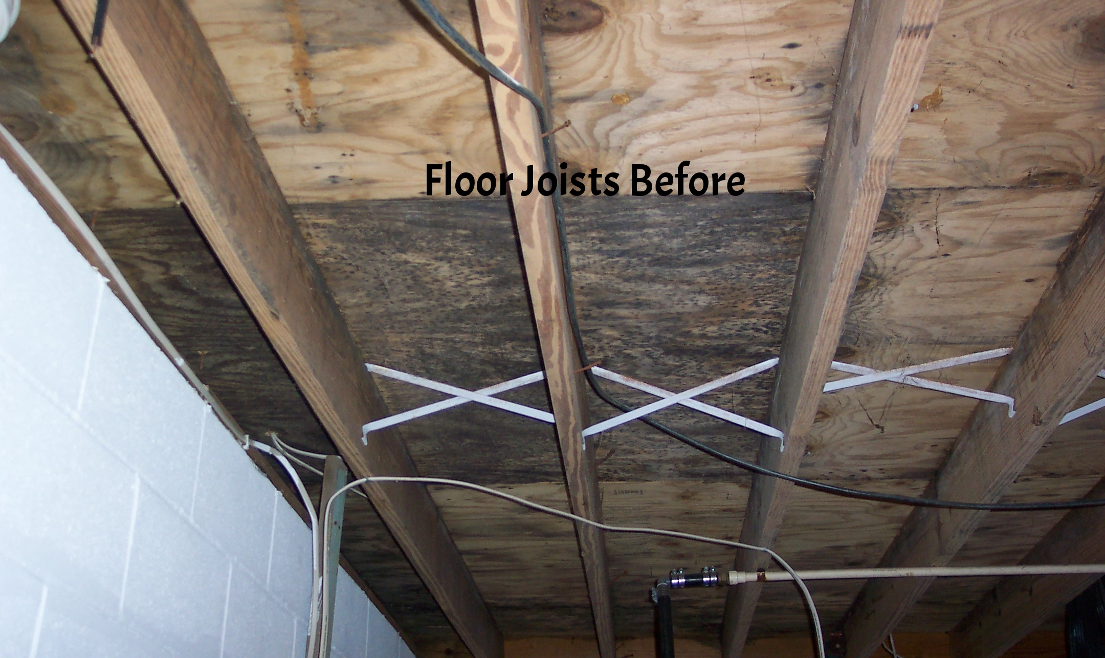Remove Mold in Basement