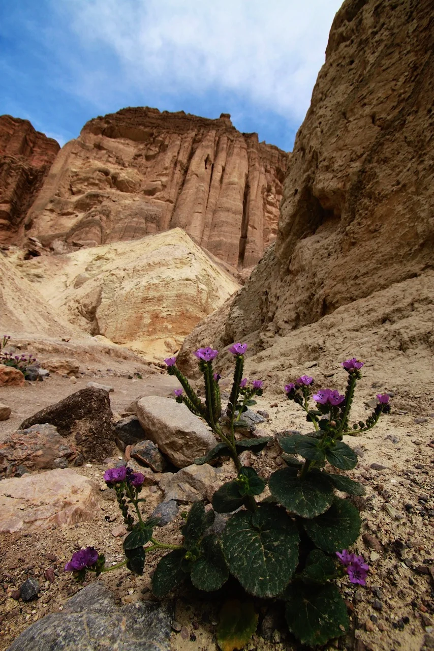 2016-03-20 at 18-13-04.jpeg