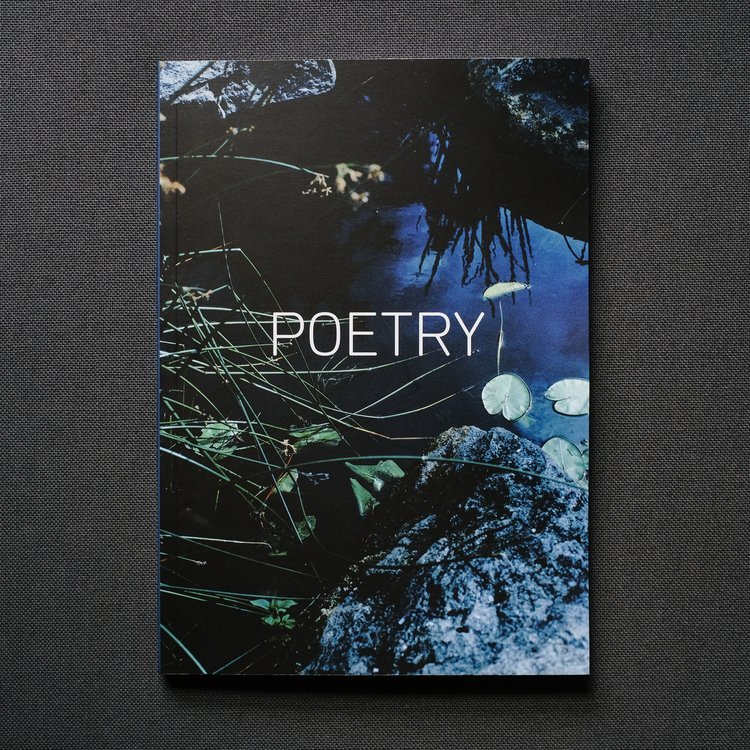 Poetry - Shutter Hub Editions