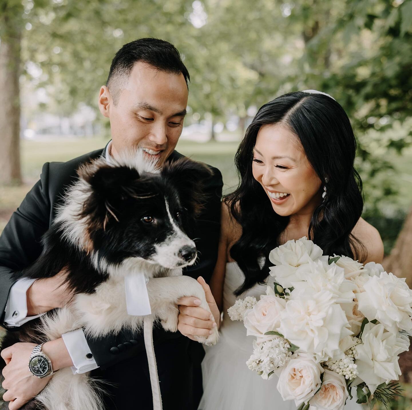 🐾Paw-fect wedding photos 😍

Dog Sitter: @theweddingsitter.au 
Makeup Artist: @missaimmey 
Florist: @littlestag_floralcouture 
📸: @brightlightweddings 

#melbournewedding
#melbourneweddingphotographer 
#melbourneweddingphotography #melbournebride #