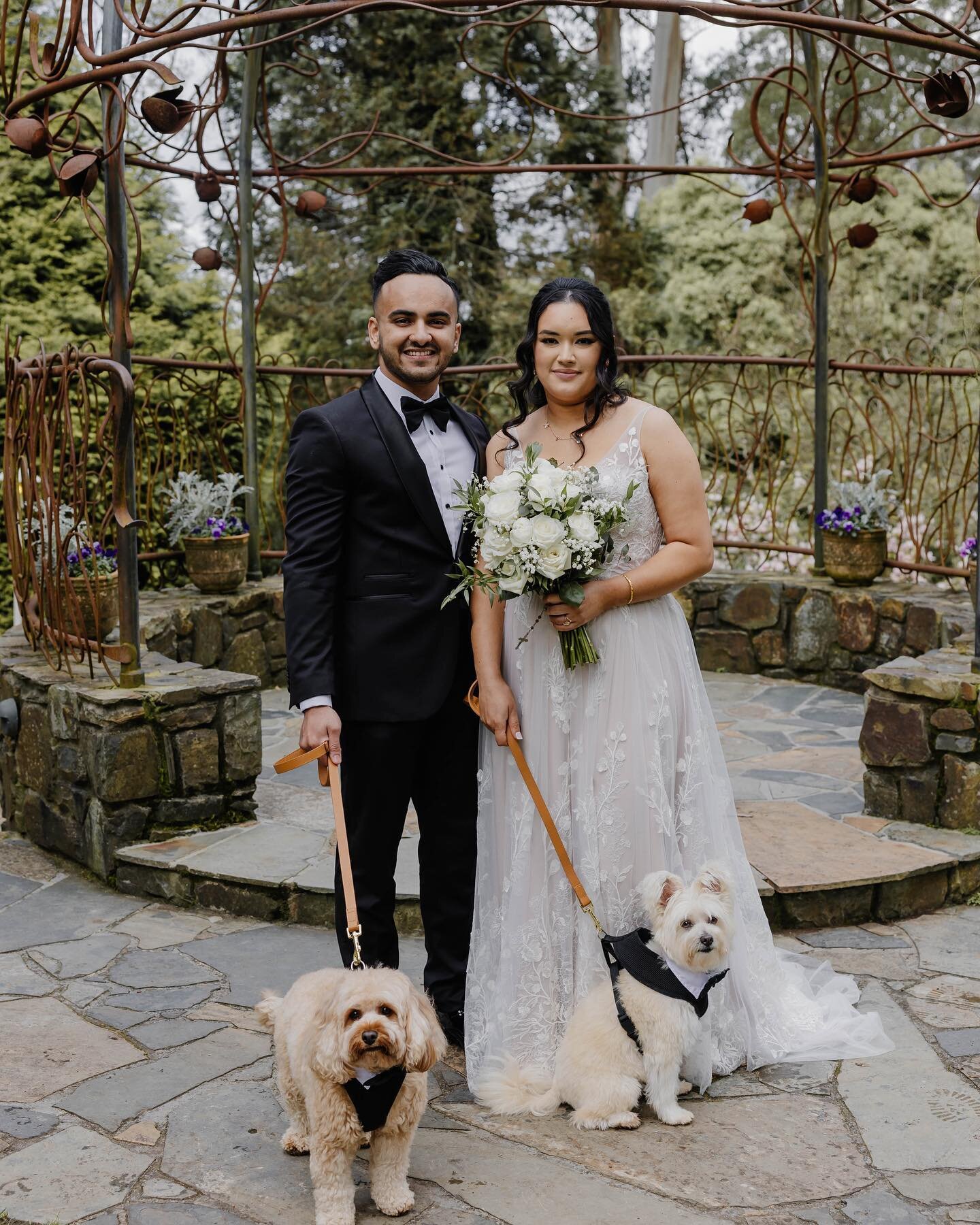 Some beautiful moments from Courtney &amp; Ken&rsquo;s at @tatra_receptions 

Makeup Artist @glam.by.becks 
Hair by @harymay_bridal 
Dress @luvbridal 
Bridesmaids dresses
@whitefoxboutique 
Florist @classic_bouquets 

.
.
.
.
.
.
.
#melbournewedding 